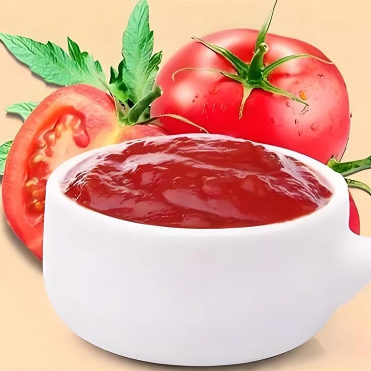 Instant Tomato Sauce Powder suppliers